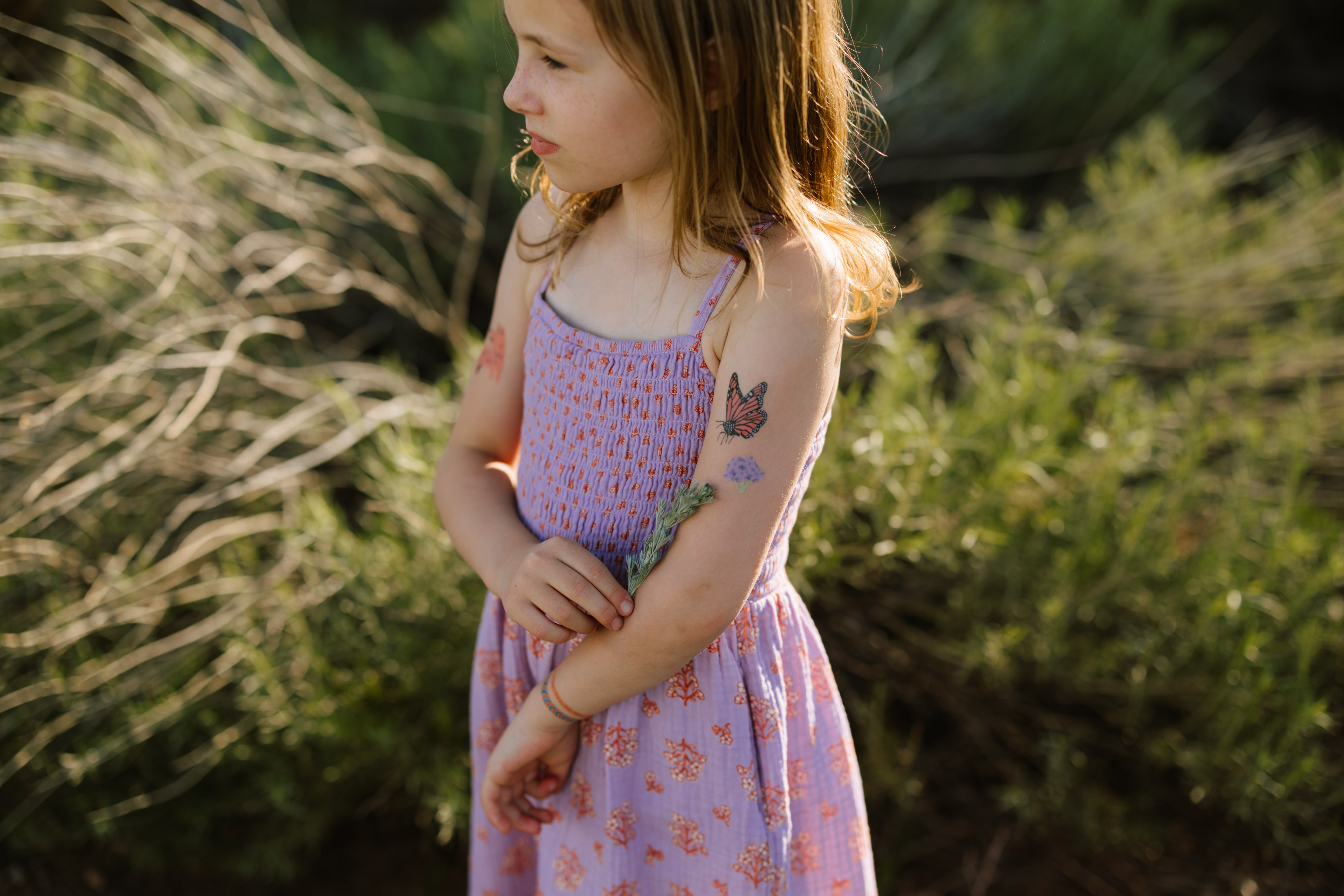 Monarch Life Cycle Temporary Tattoos